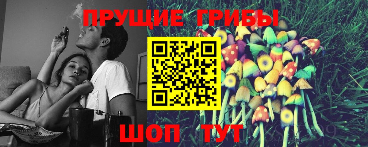 Кохма  Галлюциногенные грибы мухоморы  Вход с VPN 